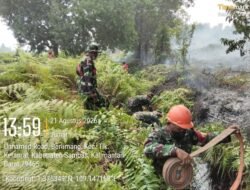 Babinsa Koramil 07/Teluk Keramat dan Instansi Terkait Sigap Padamkan Karhutla