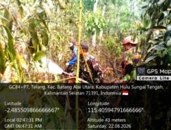 Babinsa Bersama Petugas Gabungan Berjibaku Padamkan Karhutla di HST