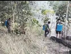 Babinsa Bersama Warga Padamkan Karhutla di Desa Halong