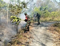 Gerak Cepat, Satgas Karhutla Kodim 1009/Tanah Laut Padamkan Api di Desa Banyu Irang