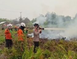 Tim SAR Ditsamapta Polda Kalbar Patroli dan Padamkan Karhutla di Sungai Raya, Cegah Api Merambat ke Permukiman