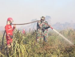 Sekat Kebakaran di Desa Panggung Baru, Personel Kodim 1009/Tanah Laut Cegah Karhutla Tidak Meluas