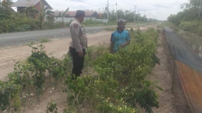 Polsek Basarang Dukung Ketahanan Pangan Untuk Program Makan Bergizi
