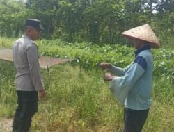 Polsek Basarang Dukung Ketahanan Pangan Untuk Program Makan Bergizi