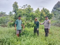 Polsek Basarang Dukung Ketahanan Pangan Untuk Program Makan Bergizi