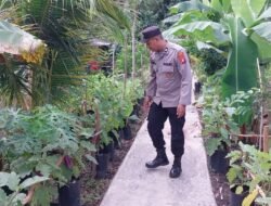 Dukung Ketahanan Pangan Nasional, Polsek Kapuas Barat Cek Lahan Pertanian Warga di Kelurahan Mandomai