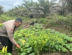 Polsek Tewang Sangalang Garing dan Pulau Malan Imbau Warga Tingkatkan Pemanfaatan Lahan Untuk Ketahanan Pangan