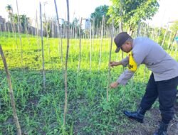 Mendukung Ketahanan Pangan, Personil Polsek Katingan Hulu dan Bukit Raya Cek Lokasi Pemanfaatan Pekarangan Warga.