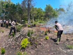 *Gerak Cepat Polsek Dusun Timur Bersama BPBD Padamkan Karhutla di Desa Sarapat, Api Berhasil Dikendalikan*
