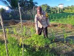 Mendukung Ketahanan Pangan, Personil Polsek Katingan Hulu dan Bukit Raya Cek Lokasi Pemanfaatan Pekarangan Warga.