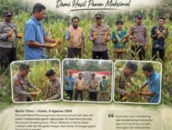 **Dukung Swasembada Pangan, Polsek Pematang Karau Tingkatkan Pendampingan Petani Demi Hasil Panen Maksimal**
