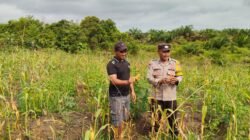 Bhabinkamtibmas dan Warga Bersinergi Kembangkan Ketahanan Pangan Desa