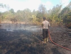 API TERDETEKSI, PETUGAS LANGSUNG BERGERAK! POLSEK DANAU SEMBULUH BERSAMA TIM GABUNGAN TANGANI KARHUTLA DI DESA TERAWAN