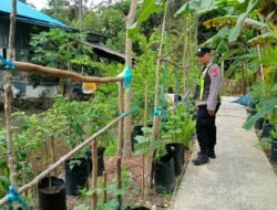 Peningkatan Ketahanan Pangan, Personil Polsek Kapuas Barat Mengajak Masyarakat Dalam Pemanfaatan Lahan Di Bidang Pertanian