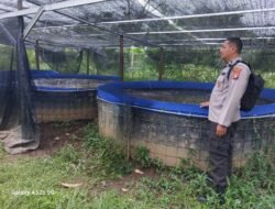 Dukung Program Nasional, Polsek Kapuas Barat Cek Ketahanan Pangan Sektor Perikanan di Desa Maju Bersama