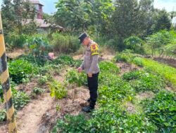 Dalam Rangka Mendukung Program Pemerintah, Bhabinkamtibmas Desa Mendawai Polsek Mendawai Cek Lokasi Pemanfaatan Lahan Pekarangan Warga