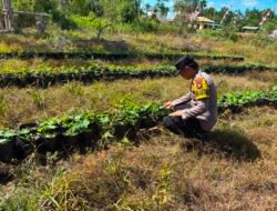 Dalam Rangka Mendukung Program Pemerintah, Bhabinkamtibmas Desa Mendawai Polsek Mendawai Cek Lokasi Pemanfaatan Lahan Pekarangan Warga