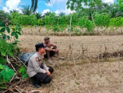 Personel Polres Sukamara Bersama Masyarakat, Wujudkan Ketahanan Pangan Berkelanjutan