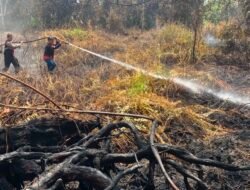 Gerak Cepat Polres Barito Utara Padamkan Karhutla Seluas 5 Hektare di Teweh Selatan