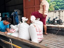 Hasil Panen Jagung Binaan Polri, Disalurkan ke Bulog Palangka Raya