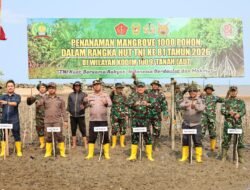 Jaga Ekosistem Pesisir, Kodim 1009/Tanah Laut Tanam 1.000 Mangrove Sambut HUT TNI Ke-81
