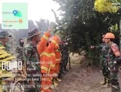 Gerak Cepat, Anggota Koramil 07/Teluk Keramat Bersama MPA Padamkan Titik Api di Dusun Dadau
