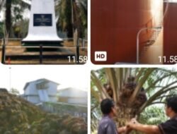 Dari Jalan Tikus ke Peremajaan Sawit, 45 Tahun PTPN Mengubah Wajah Kalimantan Barat