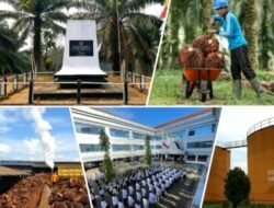 Dari Jalan Setapak ke Peremajaan Sawit, 45 Tahun PTPN Mengubah Wajah Kalimantan Barat