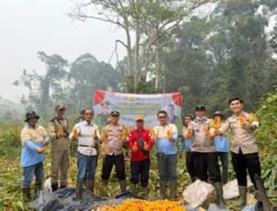 Dukung Ketahanan Pangan, Kapolsek Sumber Barito Panen Jagung Milik PT. NARS Tumbang Olong I