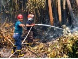 Antisipasi Karhutla, Holding perkebunan Nusantara melalui PTPN IV PalmCo Perkuat Deteksi Dini dan Patroli di Sumatera-Kalimantan