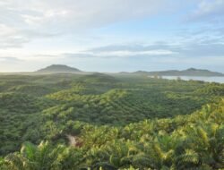 Perkuat Tata Kelola dan Standar Global, PTPN IV Akselerasi Sertifikasi Ratusan Kebun dan PKS di Seluruh Regional