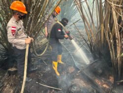 Tim Karhutla Satbrimob Polda Kalbar Lakukan Pendinginan Lahan di Rasau Jaya