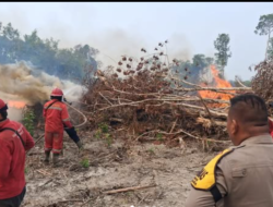 Gerak Cepat Padamkan Karhutla di Tengah Ancaman El Niño, Tim Gabungan Cegah Api Kembali Meluas