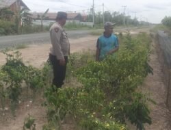 Polsek Basarang Dukung Ketahanan Pangan Untuk Program Makan Bergizi