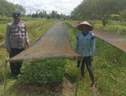 Polsek Basarang Dukung Ketahanan Pangan Untuk Program Makan Bergizi
