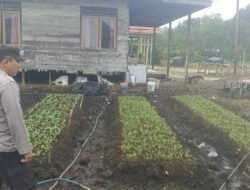 Polsek Basarang Dukung Ketahanan Pangan Untuk Program Makan Bergizi
