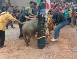 *Ritual Adat Buntang Kuruwayu di Desa Hayaping Berlangsung Khidmat, Perkuat Pelestarian Budaya Dayak Ma’anyan*