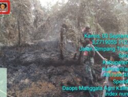 CEGAH API MELUAS, TIM GABUNGAN TURUN TANGANI KEBAKARAN LAHAN DI HALIMAUNG JAYA