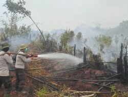 Delapan Hektare Lahan Terbakar, Tim Gabungan Sigap Lakukan Pemadaman dan Pendinginan