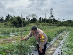 Personel Polsek Tewang Sangalang Garing dan Pulau Malan melaksanakan pengecekan lokasi pemanfaatan lahan pekarangan warga Binaannya