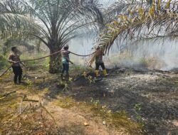*Api Membara di Lahan Warga, Polisi dan Relawan Bergerak Cepat Padamkan Karhutla di Ampah Kota**