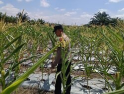 Personel Polsek Tewang Sangalang Garing dan Pulau Malan melaksanakan pengecekan lokasi pemanfaatan lahan pekarangan warga Binaannya