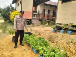 DUKUNG KETAHANAN PANGAN NASIONAL, POLSEK MARIKIT DAMPINGI PETANI DI TUMBANG HIRAN