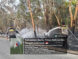*Respons Cepat Posko Karhutla Bartim, Titik Api di Siong dan Maipe Digroundcheck untuk Cegah Api Menjalar**