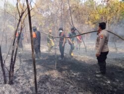 *Bersama Relawan, Personel Gabungan Berjibaku Padamkan Karhutla di Belakang SMKN 1 Raren Batuah**