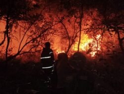 *Karhutla di Bambulung Seluas 4 Hektare Berhasil Dipadamkan Tim Gabungan Terpadu Karhutla*
