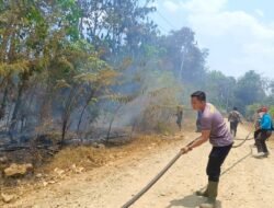 *Gerak Cepat Tangani Karhutla, Polri Bersama Damkar dan Warga Padamkan Api di Desa Dayu*