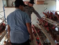 POLSEK KAPUAS BARAT CEK KETAHANAN PANGAN SEKTOR PETERNAKAN DI DESA SEI PITUNG