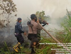 Tim Gabungan Padamkan Karhutla Seluas 2 Hektar di Sei Pitung Kapuas Barat