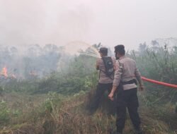 Karhutla Ancam Kebun Warga, Tim Gabungan Bergerak Cepat di Pulau Petak